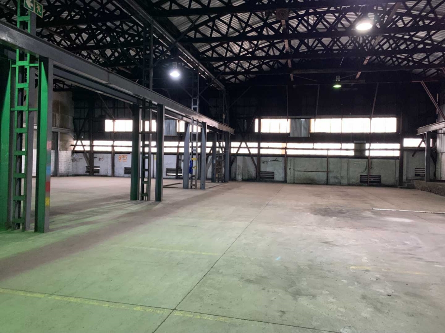 To Let commercial Property for Rent in Bella Vista Western Cape